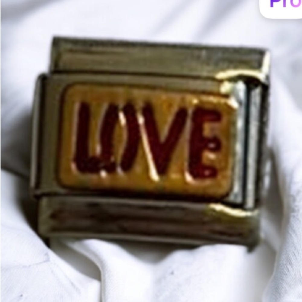 ZOPPINI (nomination) 2/$25 LOVE bracelet link